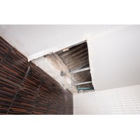 Water Damage Experts of Lakeland logo - Similar company to Tri-County All Restorations
