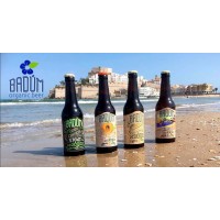 CERVEZAS ARTESANAS BAIX MAESTRAT SL logo - Similar company to Cervezas Mond