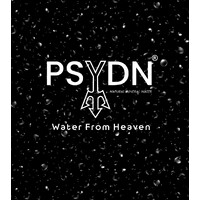 Psydn water logo - Similar company to Bobee Hosiery