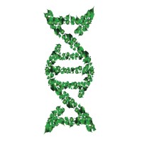 Greener Genetics logo - Similar company to Agentflow - Try 50+ Ai Agents