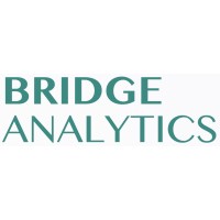 Bridge Analytics logo - Similar company to Bridge Analytics
