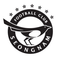 Seongnam Football Club logo - Similar company to Fc Tokyo