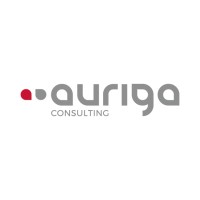 Auriga Consulting S.p.A. logo - Similar company to Computer Sistemi