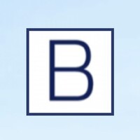 BlueSky Thinking logo - Similar company to Profesh