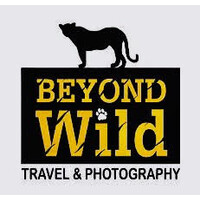Beyond Wild logo - Similar company to Motion Anthem