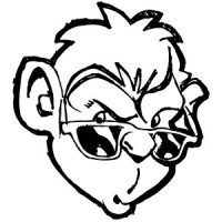 Ledmonkey