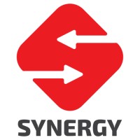 Synergy TTL Sports Marketing logo - Similar company to Indian Skills Development Council