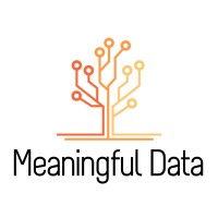 Meaningful Data logo - Similar company to Meaningfuldata