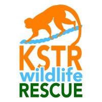 Kids Saving The Rainforest logo - Similar company to Crocodile Park