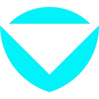 Virtumarc logo - Similar company to Gdx Development