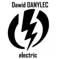 Danylec electric logo - Similar company to Anc System