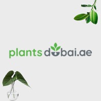 PlantsDubai.ae logo - Similar company to Innovation O'Clock