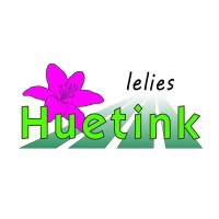Huetink Lelies logo - Similar company to Odv Techniek