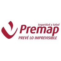 Premap Seguridad y Salud logo - Similar company to Estrategia Digital Para Asesorías Y Despachos Profesionales