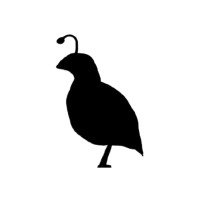 The Storm Cellar logo - Similar company to The Storm Cellar