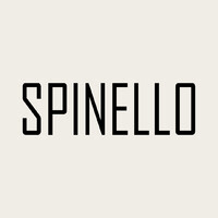 SPINELLO logo - Similar company to Spinello Wealth Management