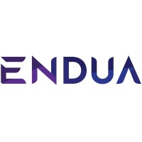 Endua logo - Similar company to Pending Ai