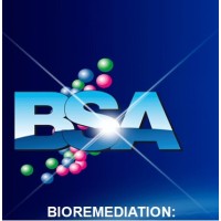 BSA Ambiente Srl logo - Similar company to Baw Srl