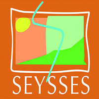 Mairie de Seysses logo - Similar company to Yzatis