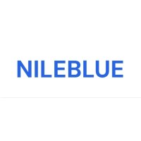 Nileblue logo - Similar company to Lucid.Work