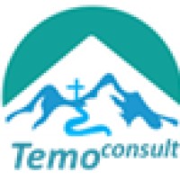 Temo Consult logo - Similar company to Ab Ltd