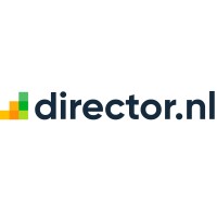 director.nl logo - Similar company to Widgetbird