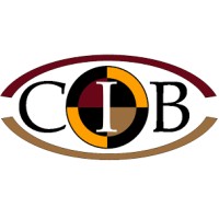 Center for Injury Biomechanics logo - Similar company to The Diggeridoos