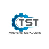 TORNERIA TST di Toderi Samuele logo - Similar company to Tmc Torneria