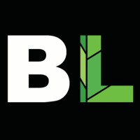 BLACKLINES architecture and engineering (BIM) logo - Similar company to Bbv Development Bv