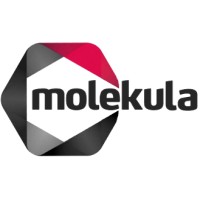 Molekula Group logo - Similar company to Analytichem Belgium Nv / Chem-Lab Nv