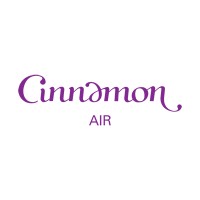Cinnamon Air logo - Similar company to Fts