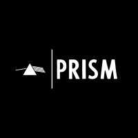 PRISM SOLUTIONS logo - Similar company to Prism-Solution