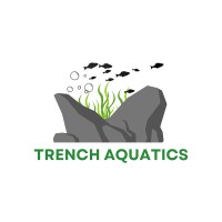 Trench Aquatics LLP logo - Similar company to Ashoka Avl Solutions Private Limited