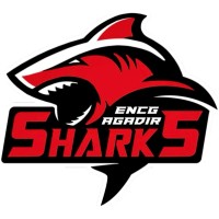 Sharks Tkd logo - Similar company to Digital-State