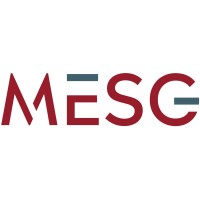 MESG® - Management Experts St. Gallen logo - Similar company to Ailuna Gmbh