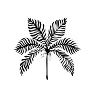 SANVALINA Pattern Design Studio logo - Similar company to Patternarium