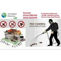 A to Z Global Enterprises | Pest Control | Termite (Deemak) Control | Dengue Fumigation Services in logo - Similar company to National Pest Control Services