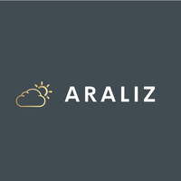 ARALIZ Consulting