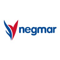 Negmar Kurumsal logo - Similar company to I-Sistem