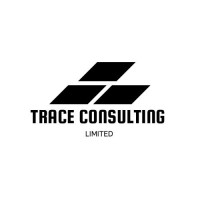 Trace Consulting Ng logo - Similar company to Therecruitei