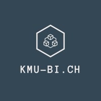 KMU-BI.CH logo - Similar company to Datavision Ag
