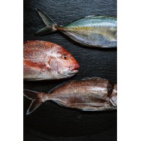 RED Line Fishing Ltd logo - Similar company to Sultan Ropes