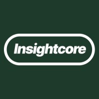 Insight Core logo - Similar company to Insight Core Analytics