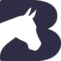 Bransby Horses - Rescue and Welfare logo - Similar company to Third Sector Solutions Scotland Ltd