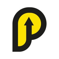 PYSESA logo - Similar company to Materiales Industriales Del Bajio, S.A. De C.V.