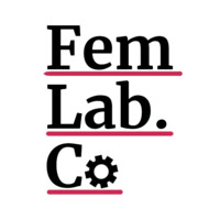FemLab.Co logo - Similar company to D-Van