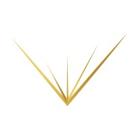 Life By Design Academy logo - Similar company to Moritz Lembert Coaching