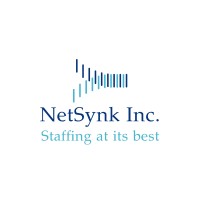 Netsynk Inc logo - Similar company to Netsync