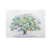 Hologram Financial Solutions LLC