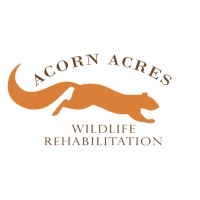 Acorn Acres Wildlife Rehabilitation logo - Similar company to Heritage Conservancy
